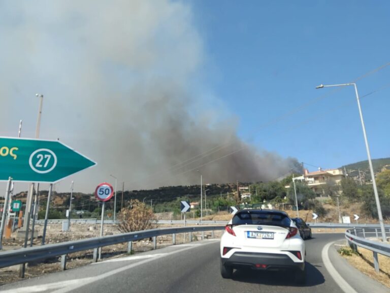 Φωτιά-στην-Αχαΐα:-Πυροσβεστικά-που-τους-τελείωσε-το-νερό,-φλόγες-που-σταμάτησαν-στη-θάλασσα